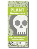 Plant Awareness Pamphlet Plant Awareness Pamphlet